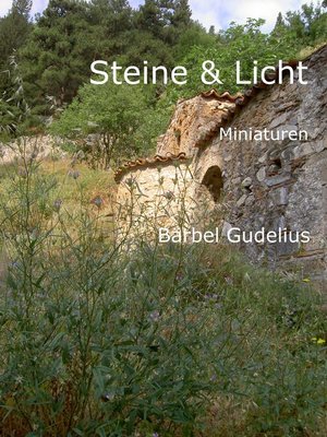 cover image of Steine und Licht